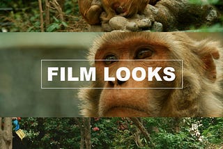 Cinematic Film LUTs Tones for Photos and Videos