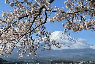 The picture I took of Mt. Fuji. How embracing chanto suru, shinrin yoku, and kisetsukan has helped me appreciate everyday life