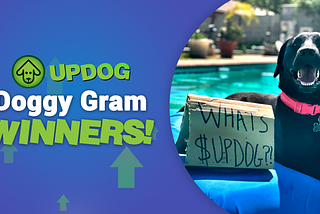 DOGGY GRAM CONTEST WINNERS ANNOUNCED