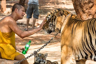Good riddance to Thailand’s infamous ‘tiger temple’