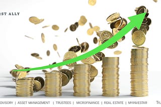 Who Should Consider a High-Yield Investment Scheme in Nigeria?