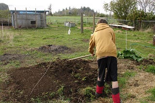 Clear the Soil: Cultivating a Renewed Mind in Christ