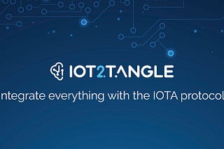 IOT2TANGLE. End of year review