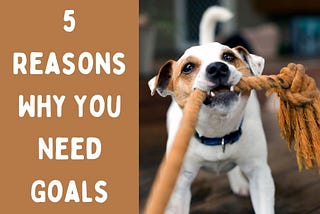 5 Reasons Why You Need Goals