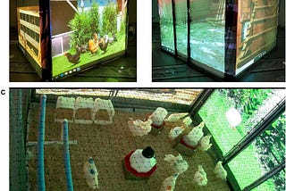 From the archives: “Immersive Technology and the Future of Poultry Husbandry”