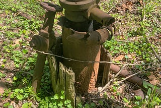 An orphaned well, a thick metal cylinder with a hole in the top, outside in a patch of plants