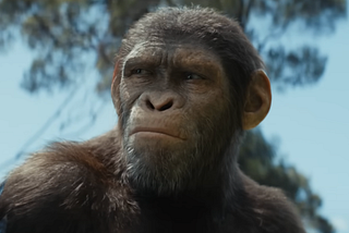 ‘Kingdom of the Planet of the Apes’ Film Review