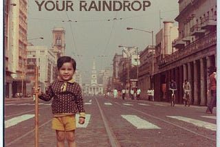 Tajdar Junaid — What Colour is Your Raindrop