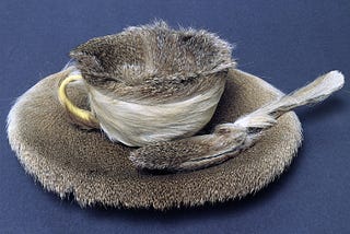 Meret Oppenheim’s Object — Transcendence into a Realm of Irrationality