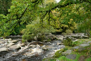 Evolution vs. Creation — The False Binary