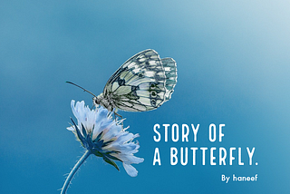 Story of a butterfly.