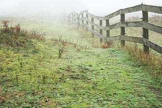 field fence in the mist