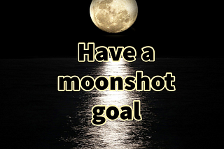 Have a moonshot goal