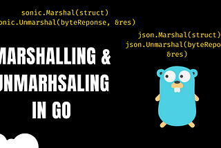 Efficient Marshalling & Unmarshalling in GO