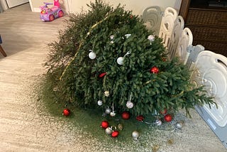 My Christmas Tree Is Dying. Can I Save It?