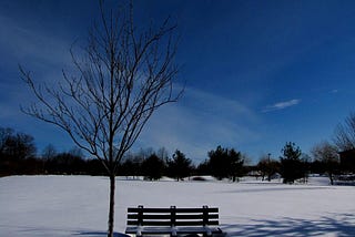 An empty bench looking into a lonely landscape