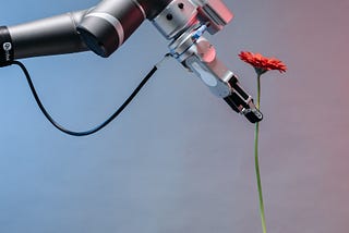 The Future of Artificial Intelligence and Machine Learning