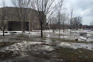 The First Sign of Blooming Is Mud Season’s Heroically Ugly Thaw