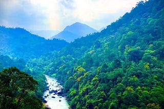 Adventures at Kithulgala
