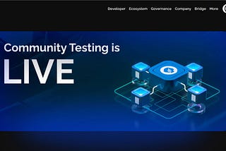 Step-by-step guide on participating in MetisDAO community testing of the decentralized sequencers.