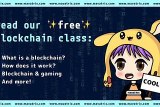 Mavatrix Blockchain Class #2: Blockchain explained