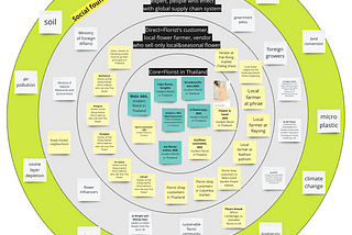 #03 Introducing “Regenerative System for the Floral Market”: My Major Project