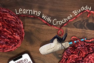 Learning With Crochet Buddy
