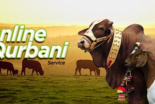 Online Qurbani service | Buy qurbani animals online at Erocery