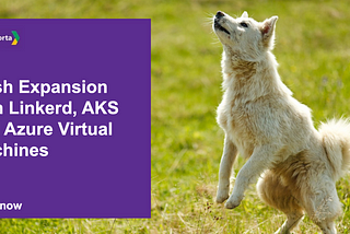 Mesh Expansion with Linkerd, AKS, and Azure Virtual Machines
