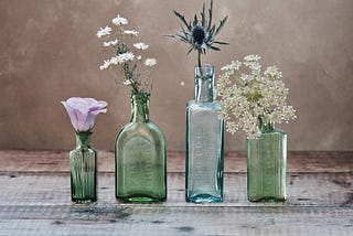 Four plants in glass bottles