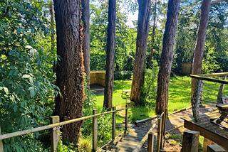 Focus Doesn’t Scale