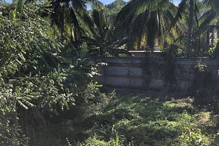 Property for Sale in La Penita