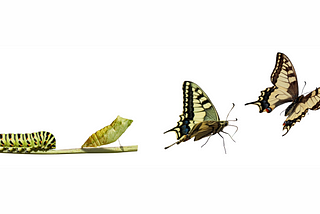 Empresas que confundem mudança com transformação não vão voar.