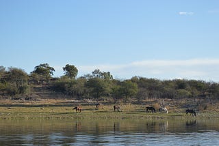 Hambrienta de agua