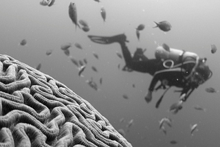 Science that materialism fails to explain
