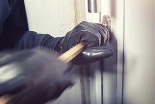 The Burglar