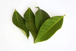 10 Surprising Health Benefits of Bay Leaf Powder