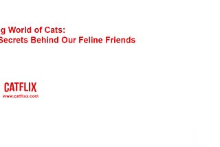 The Enchanting World of Cats: Unveiling the Secrets Behind Our Feline Friends