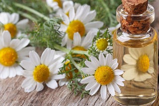 Chamomile Tea — Find Out How to Enjoy it