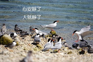 心靜了，人就靜了