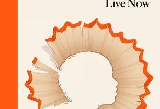 A British Childhood: How Our Children Live Now by Frank Cottrell Boyce
