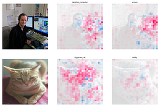 Interpreting Deep Learning Models for Computer Vision