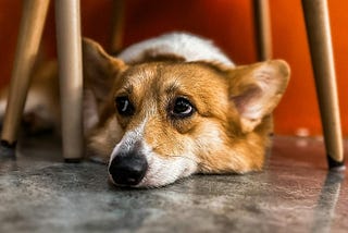 Wishing and Hoping and Thinking and Praying