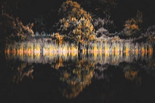This is What Happened After I read Amos 7:10–17