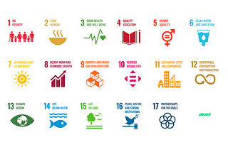 Rise of the SDGs