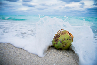 Unleashing the Power of Surfing: Optimal Caloric Intake for Surfers