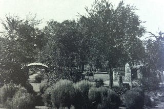 LOOKBACK: Monkeys once drew crowds along Austin Mill Pond