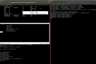 C code & Arm assembly: emulating execution using QEMU