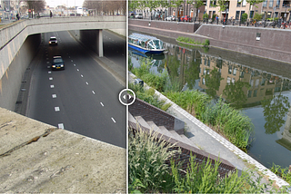 Rewilding Cities