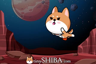 What is a TinyShiba Cryptocurrency, and how does it work?